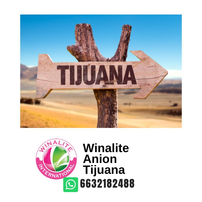 Winalie Distribución en Tijuana -13