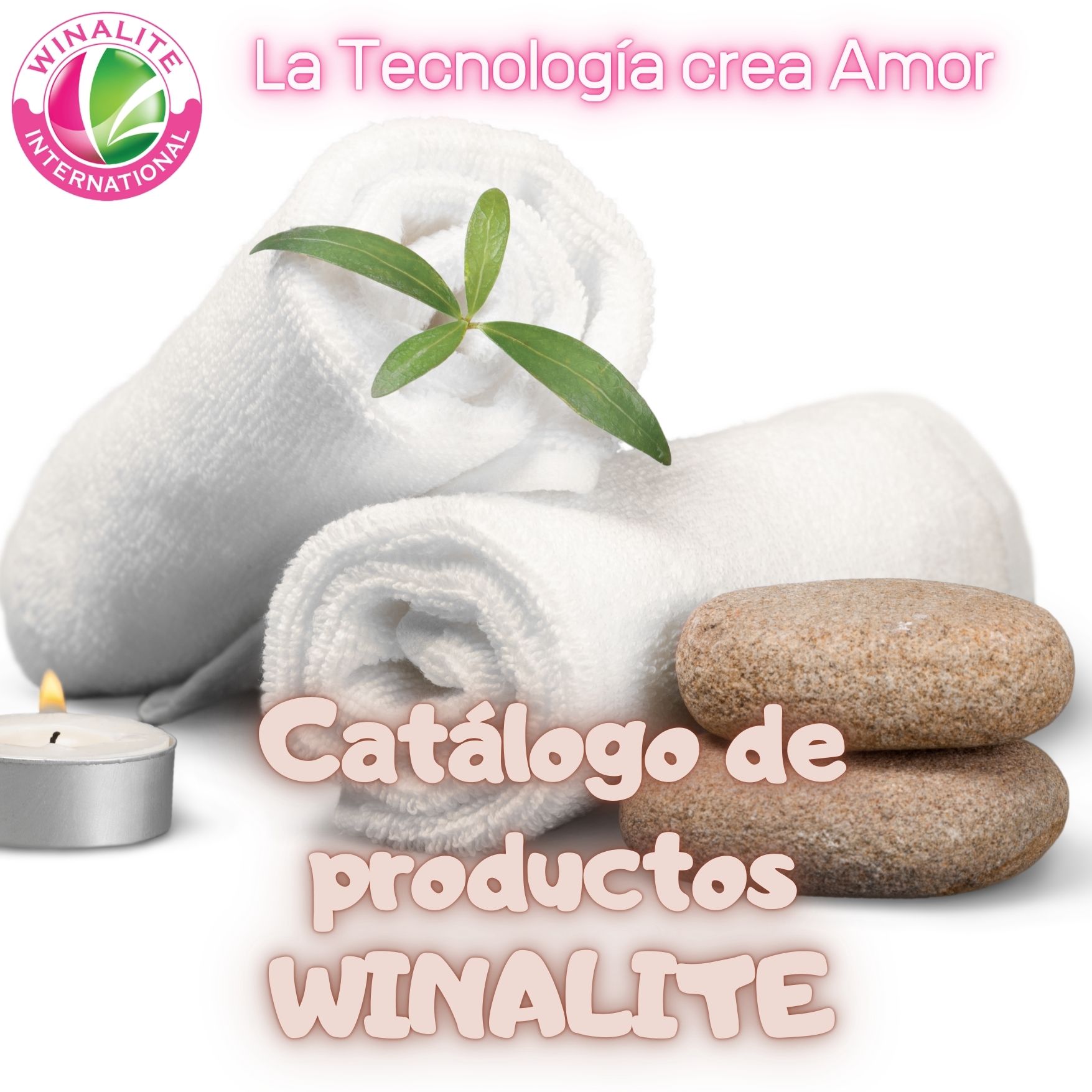 Distribuidora Winalite en ijuana 21