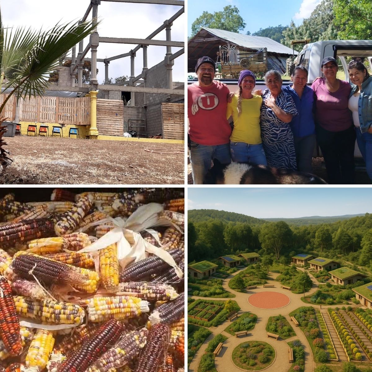 cooperativa holística en jalisco -13