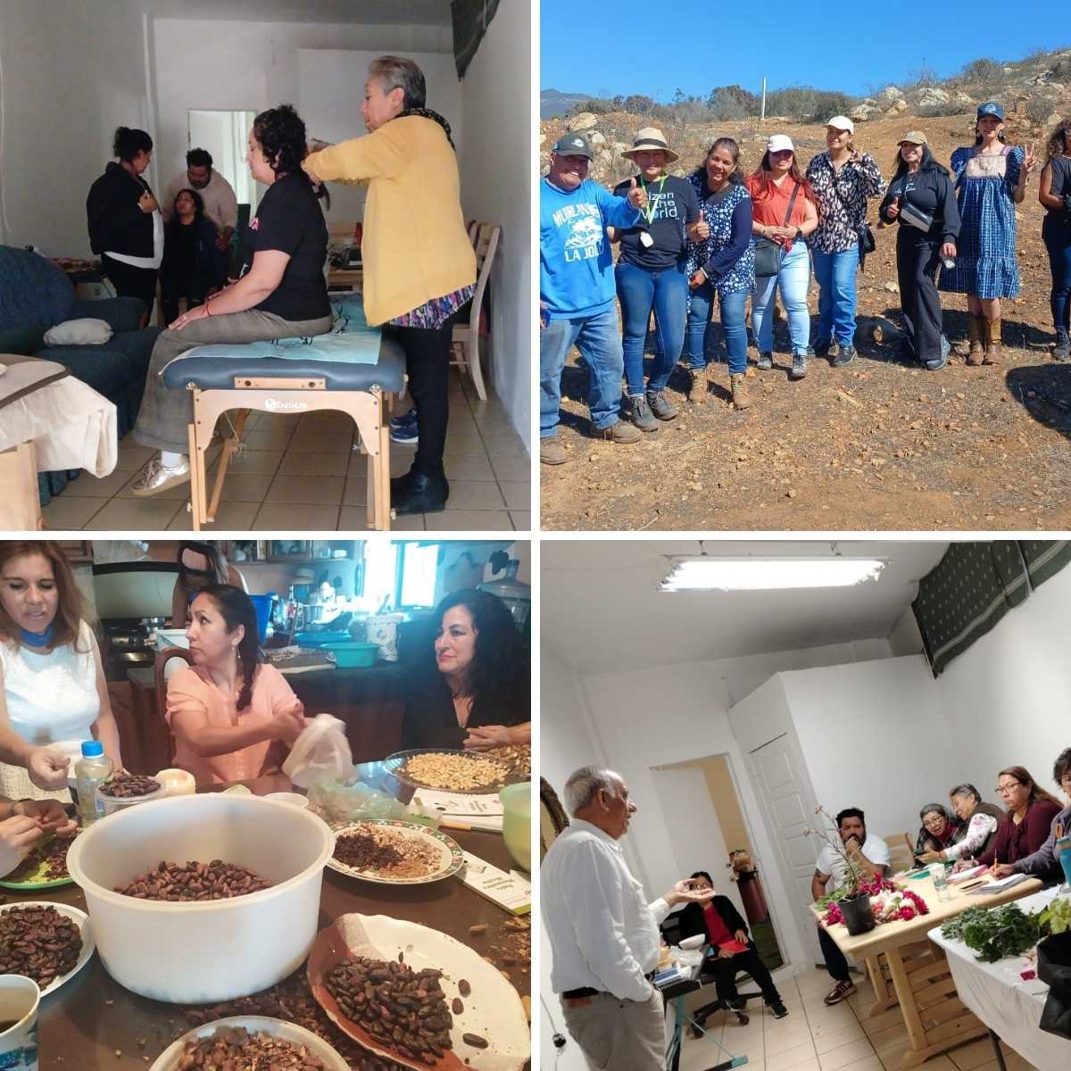 cooperativa holística en jalisco -13