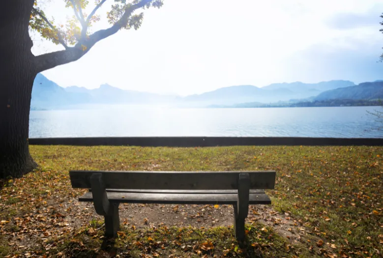 Bench in front of a calm lake