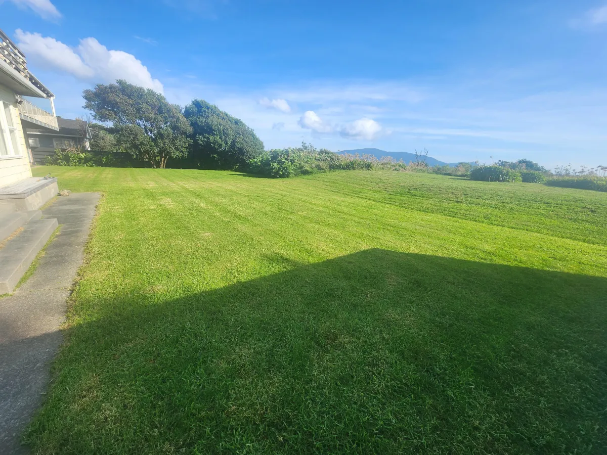 Big Green - Lawn Mowing Image