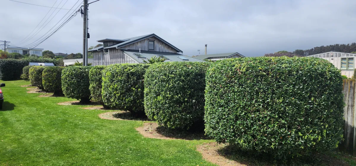 Big Green - Property Services Gallery Image 2