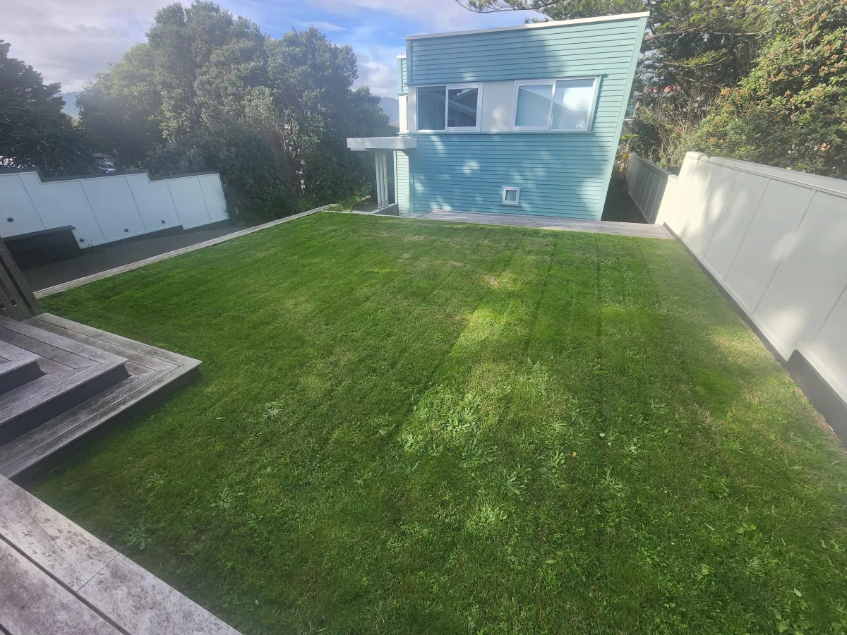 Big Green - Storm Damage Repair Image
