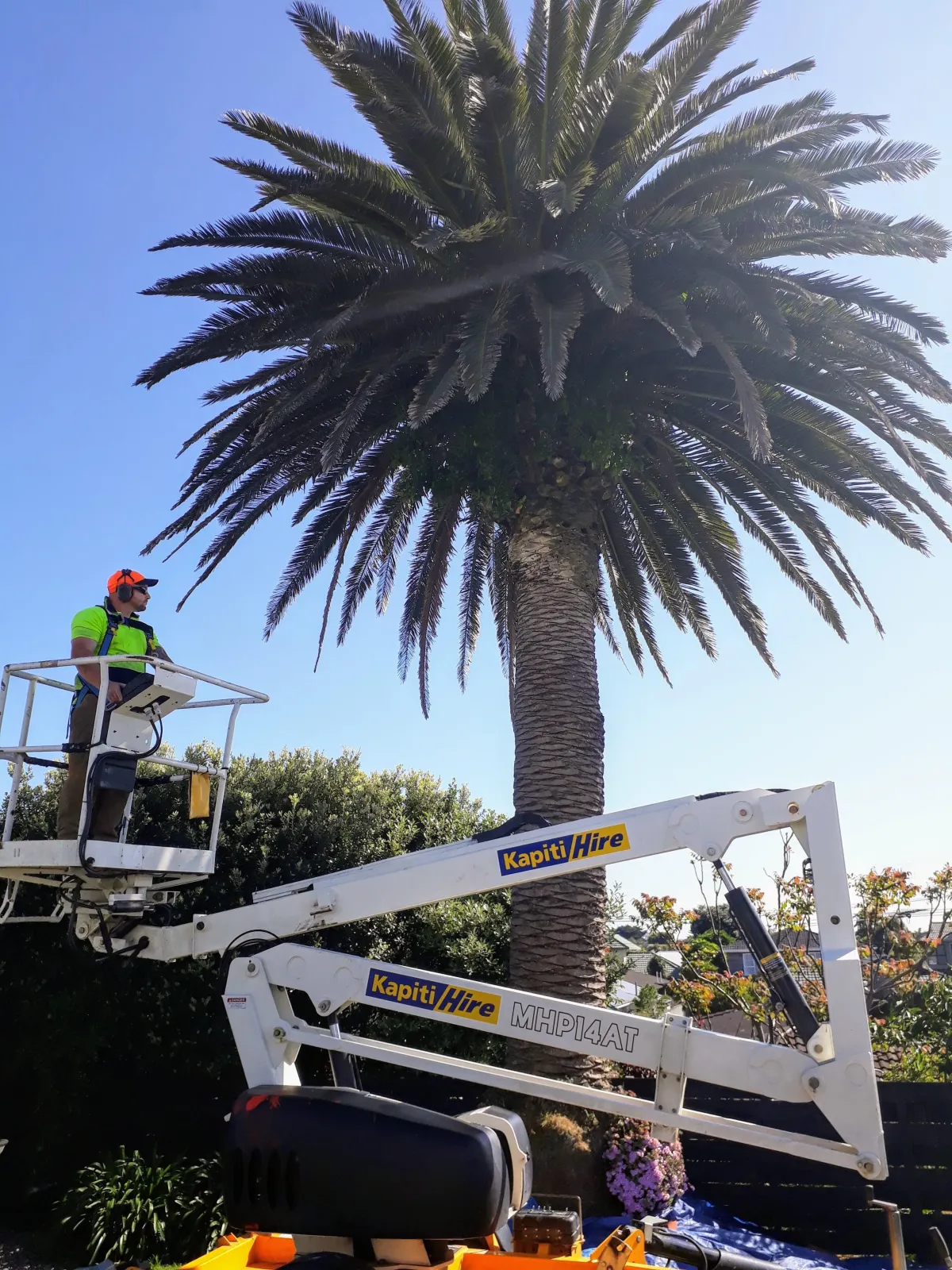 Big Green - Your One-Stop Solution for Property Needs Image