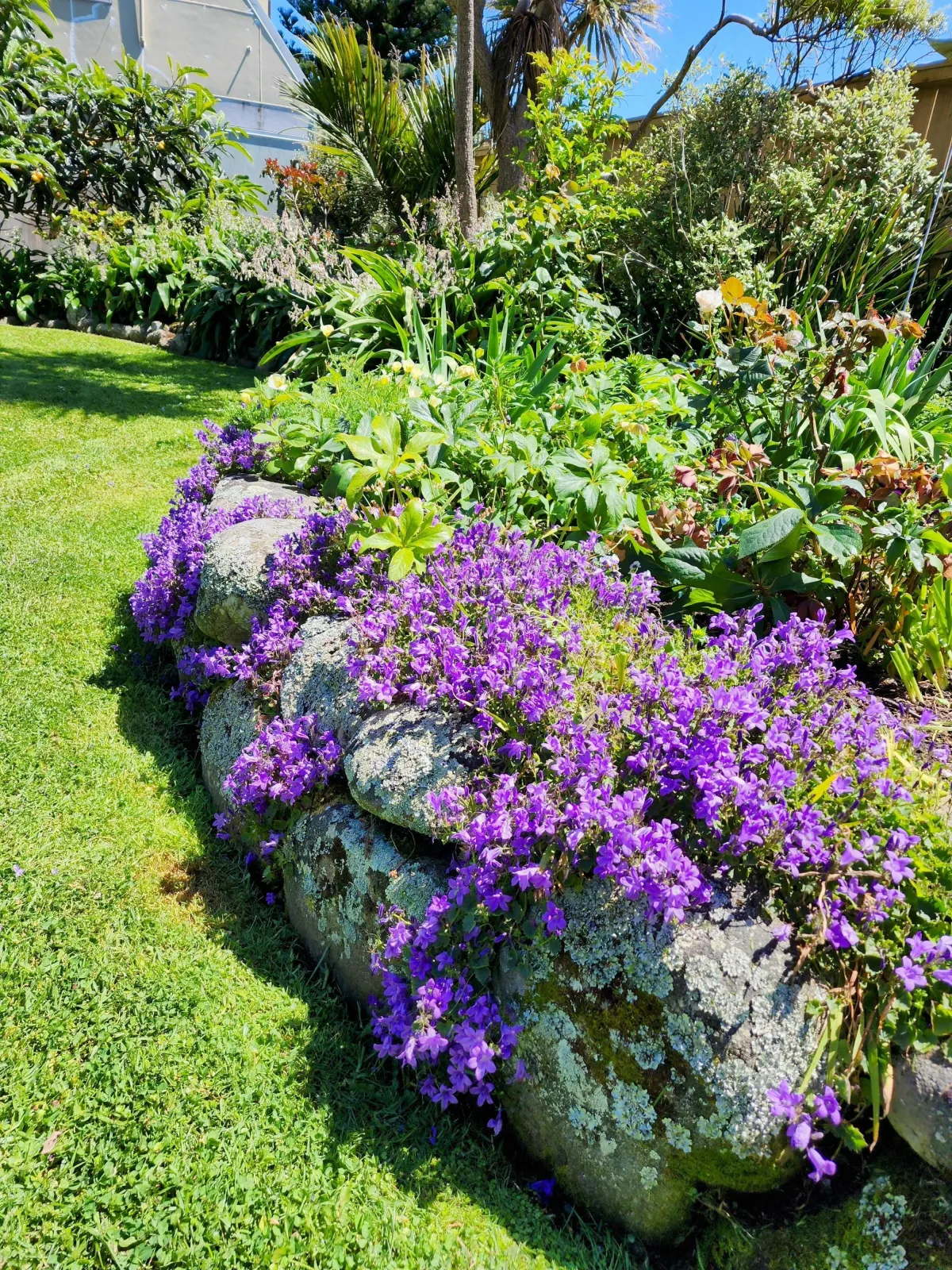 Big Green - Property Services Gallery Image 1