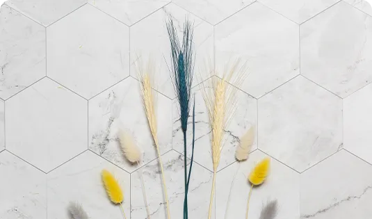 Faïence Motifs Orientaux