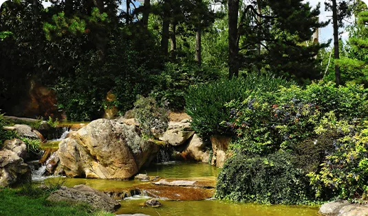 Margelle Pierre Naturelle