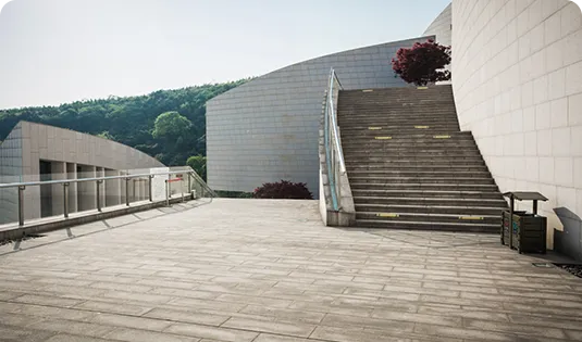 Dalle Terrasse Bois Composite