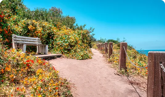 Margelle Piscine Droite