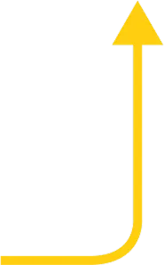 Lead Capture Mechanisms