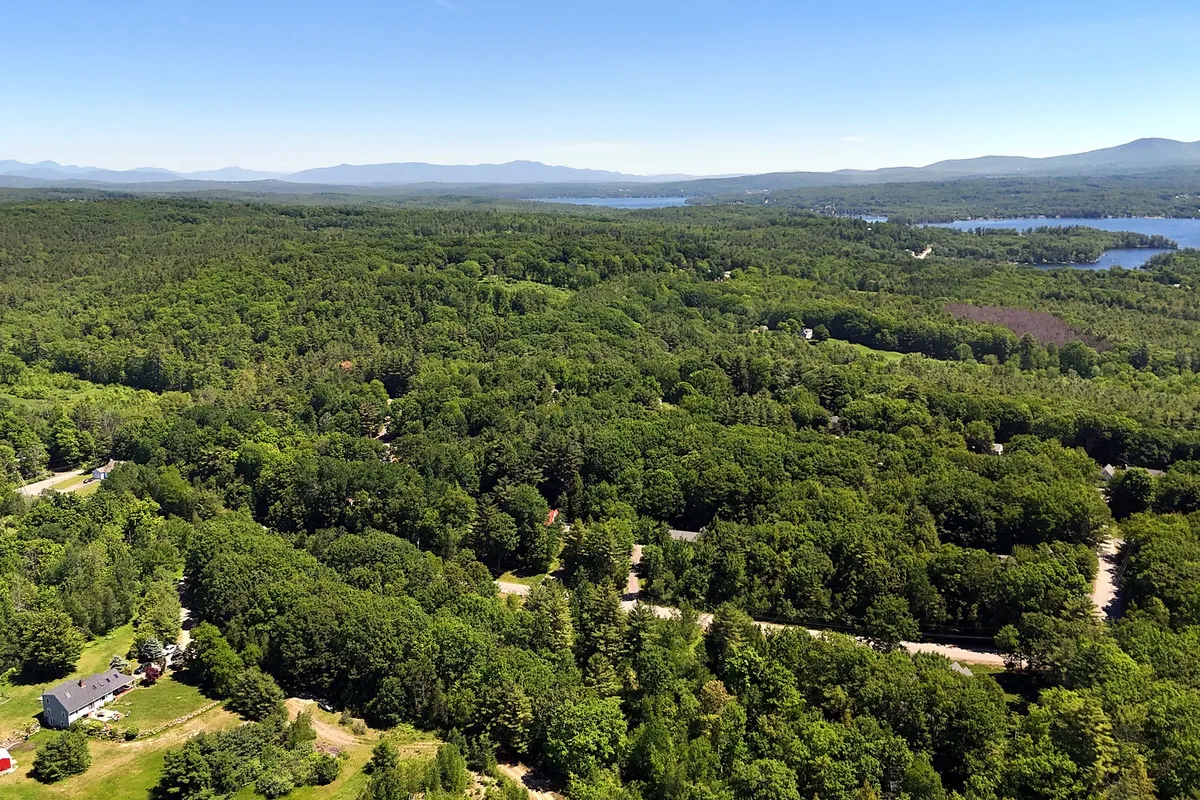 What Is Current Use in NH? A Plain-English Guide for Land Buyers and Sellers