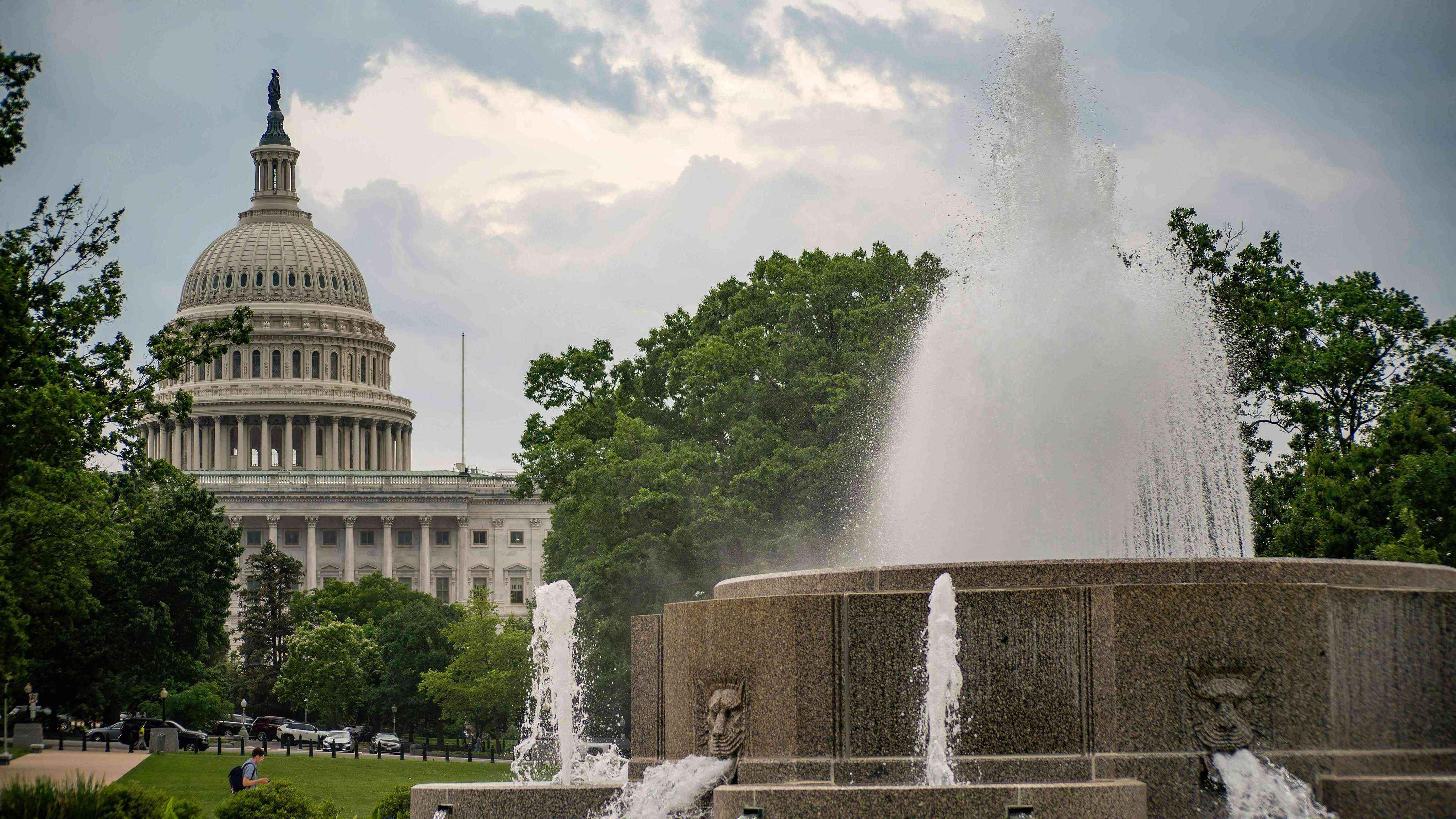 Washington DC Landscape