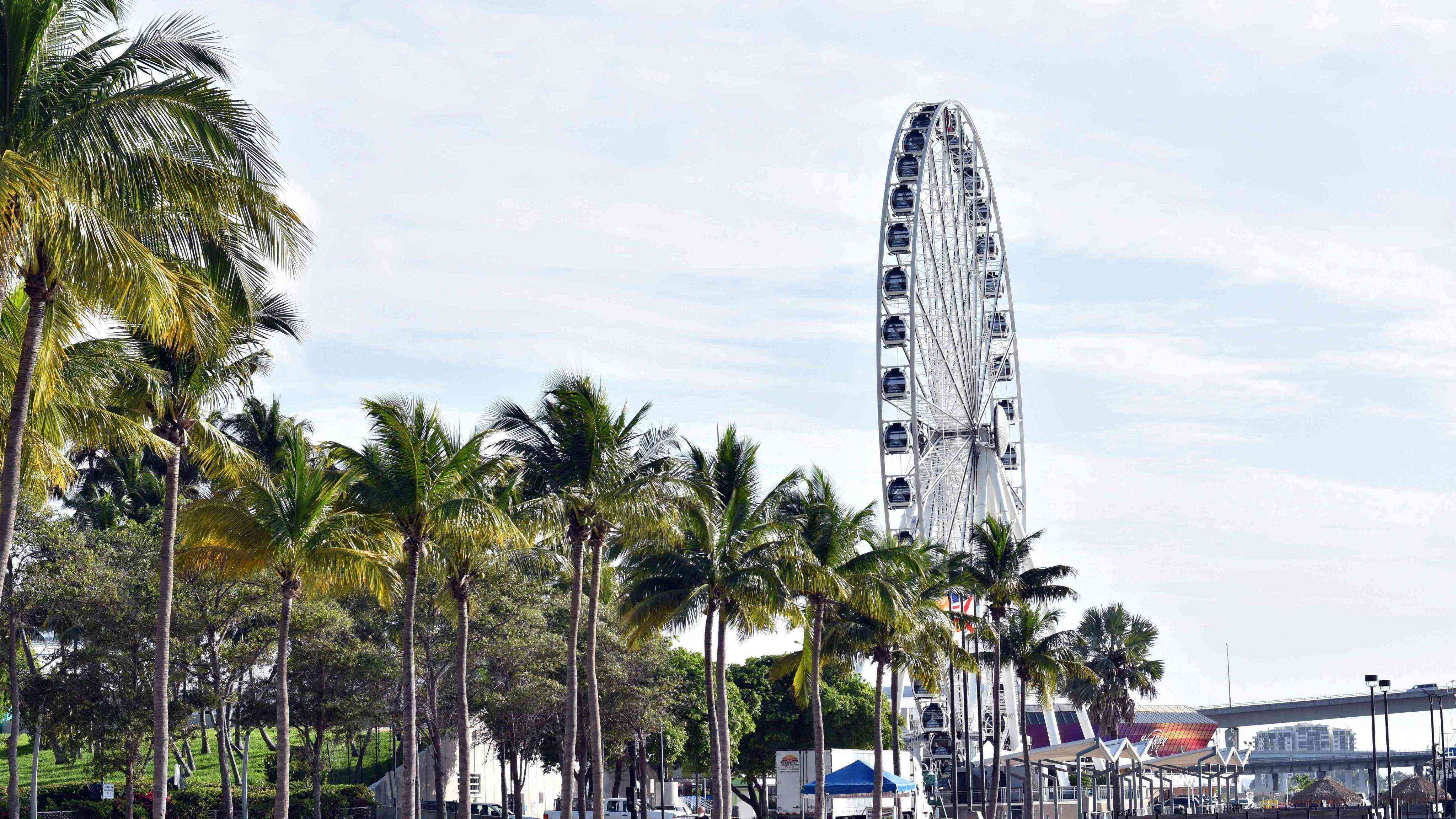 Miami Landscape