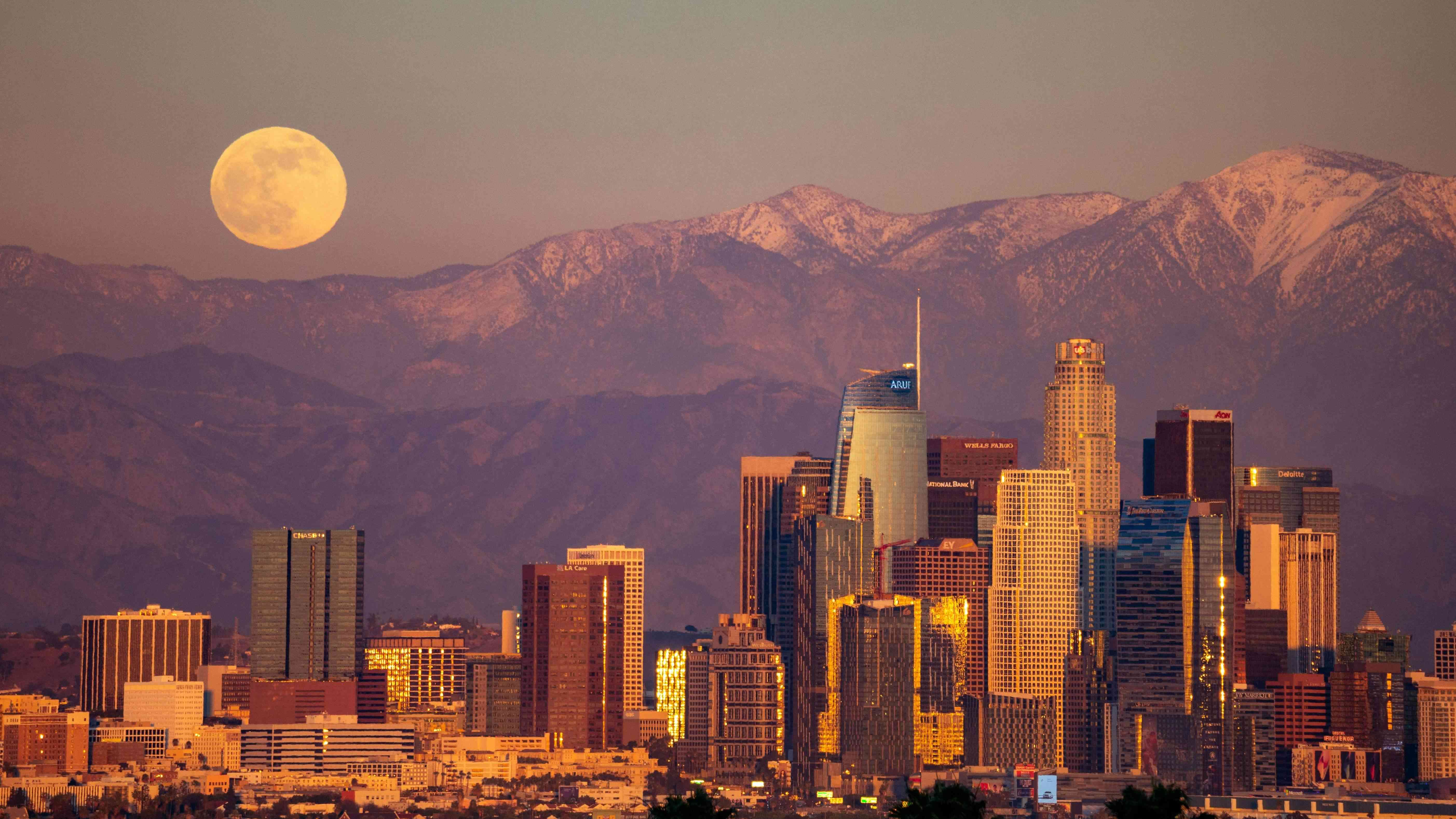 Los Angeles Landscape