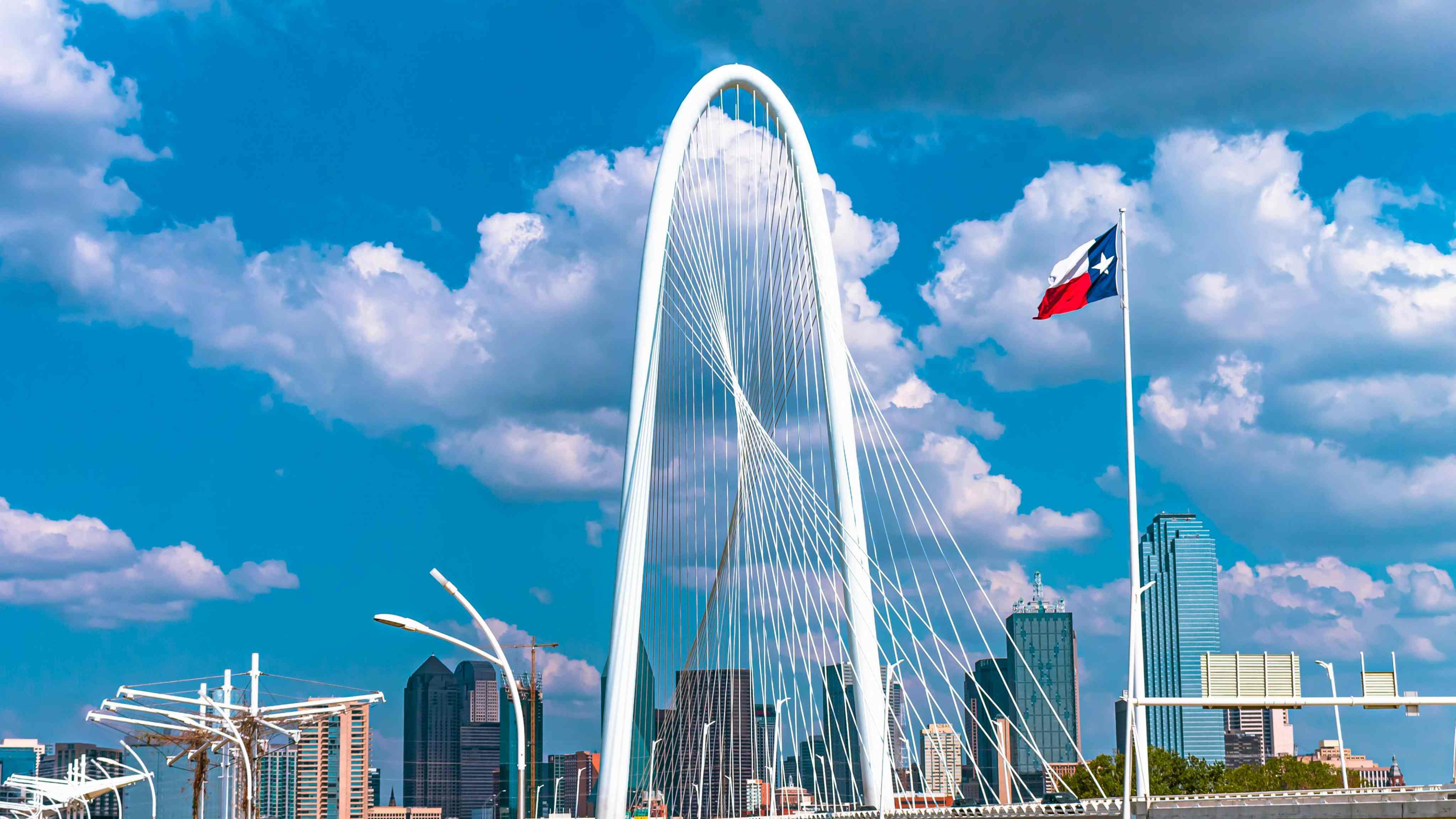 Dallas Landscape