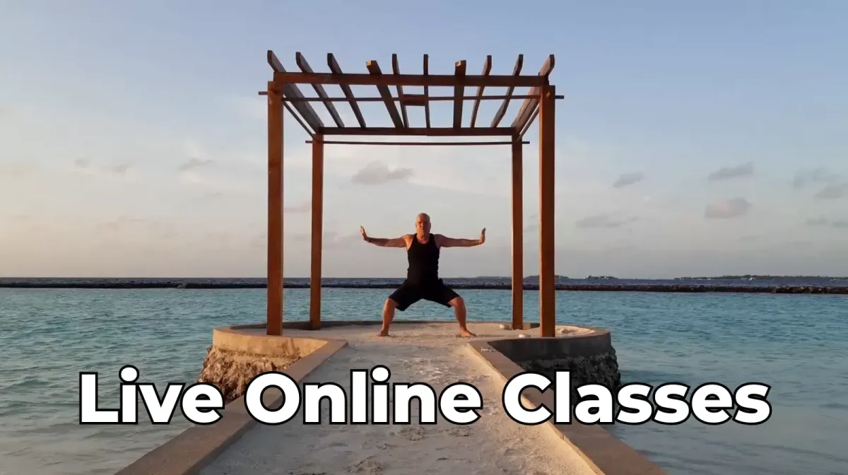 Live online Qi Gong classes at the Bright Beings Academy