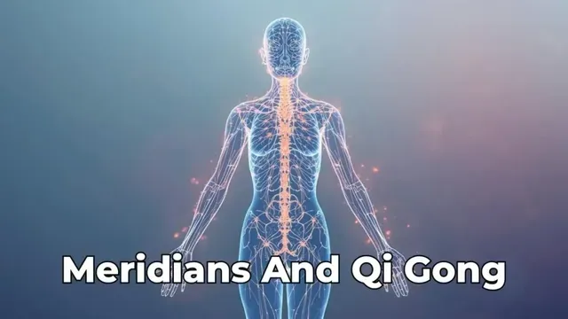 Qi Gong & the Meridian System: A Complete Guide (12 Primary + Ren & Du)