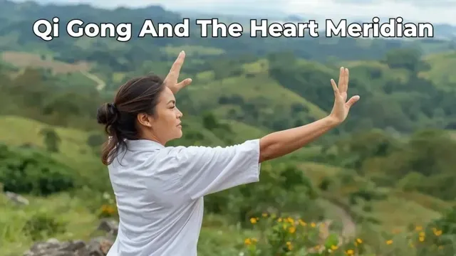 Heart Meridian (Xin) — Calm the Shen & Nourish Joy