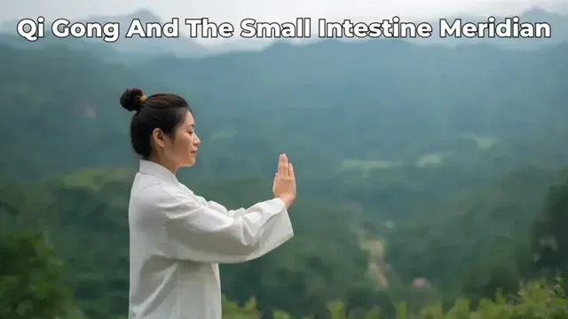 Small Intestine Meridian: Discern, Separate, Integrate (Fire • 13:00–15:00)