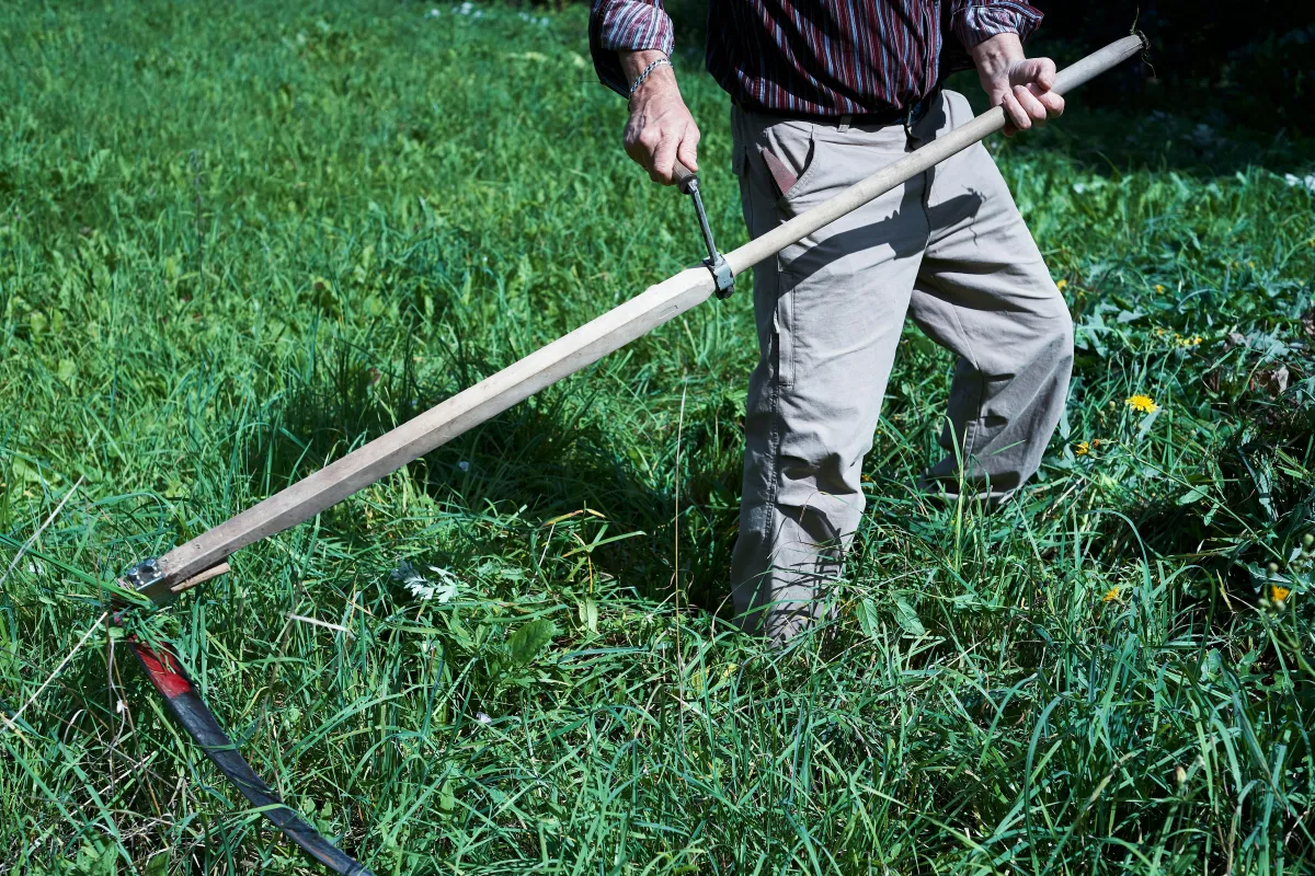 Man Clearing lot/yard