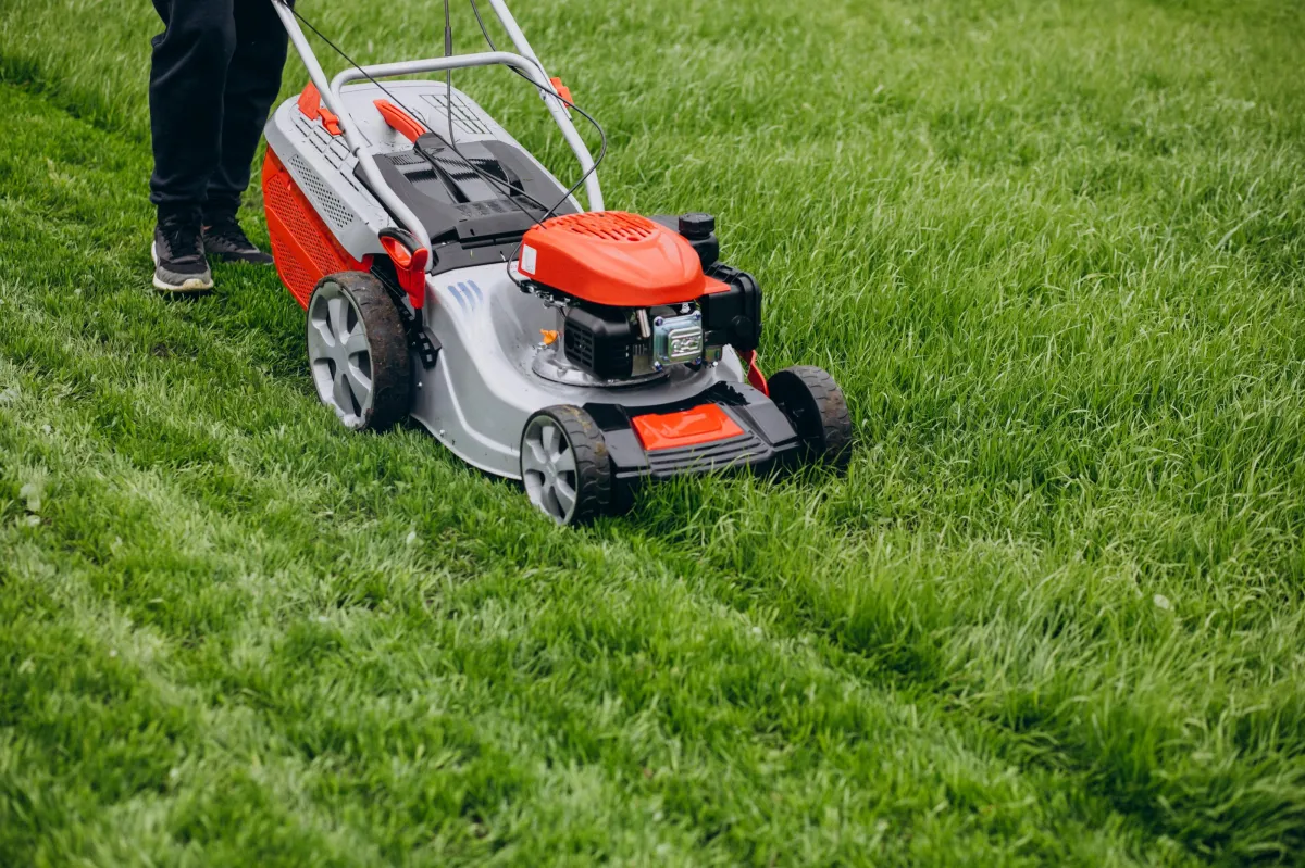 Mowing lawn