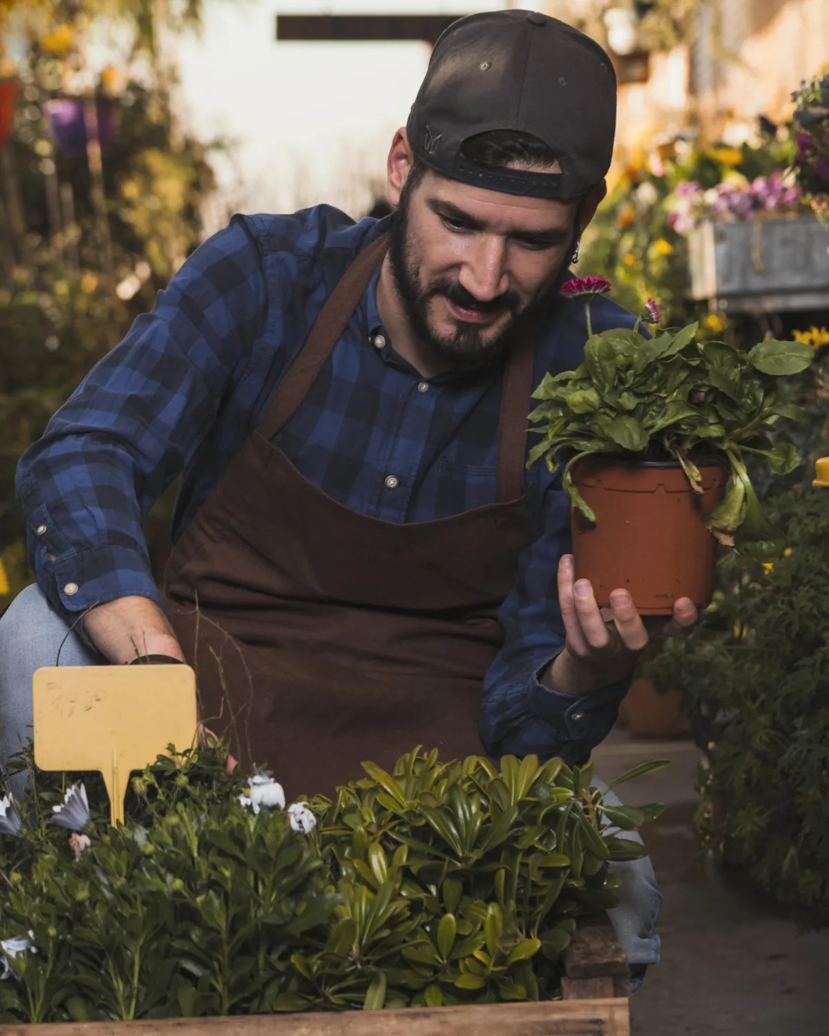 Man planting flowers