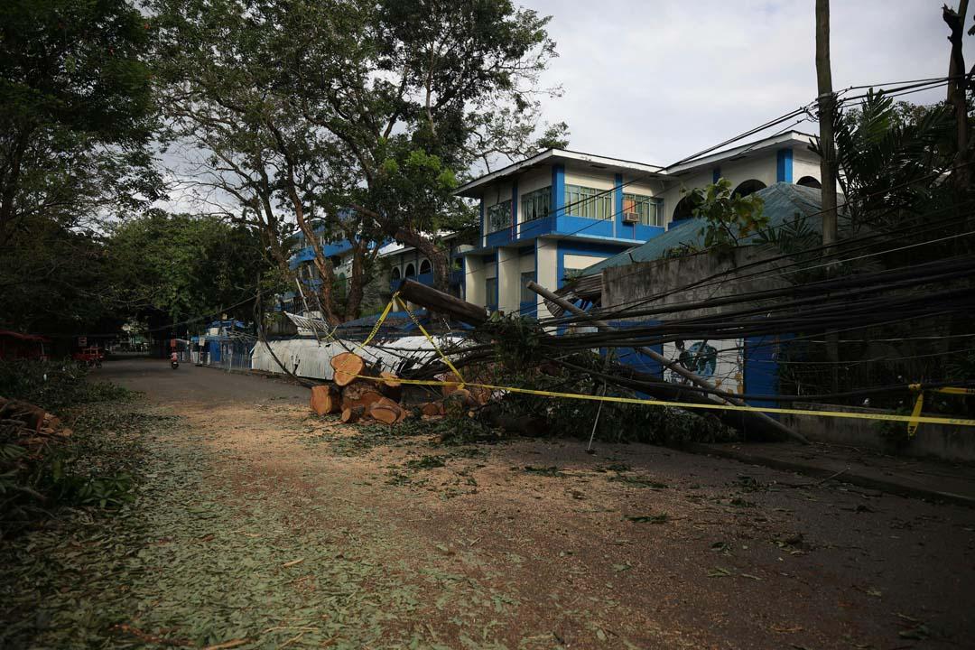 Tree size and location and proximity to structures factor into costs