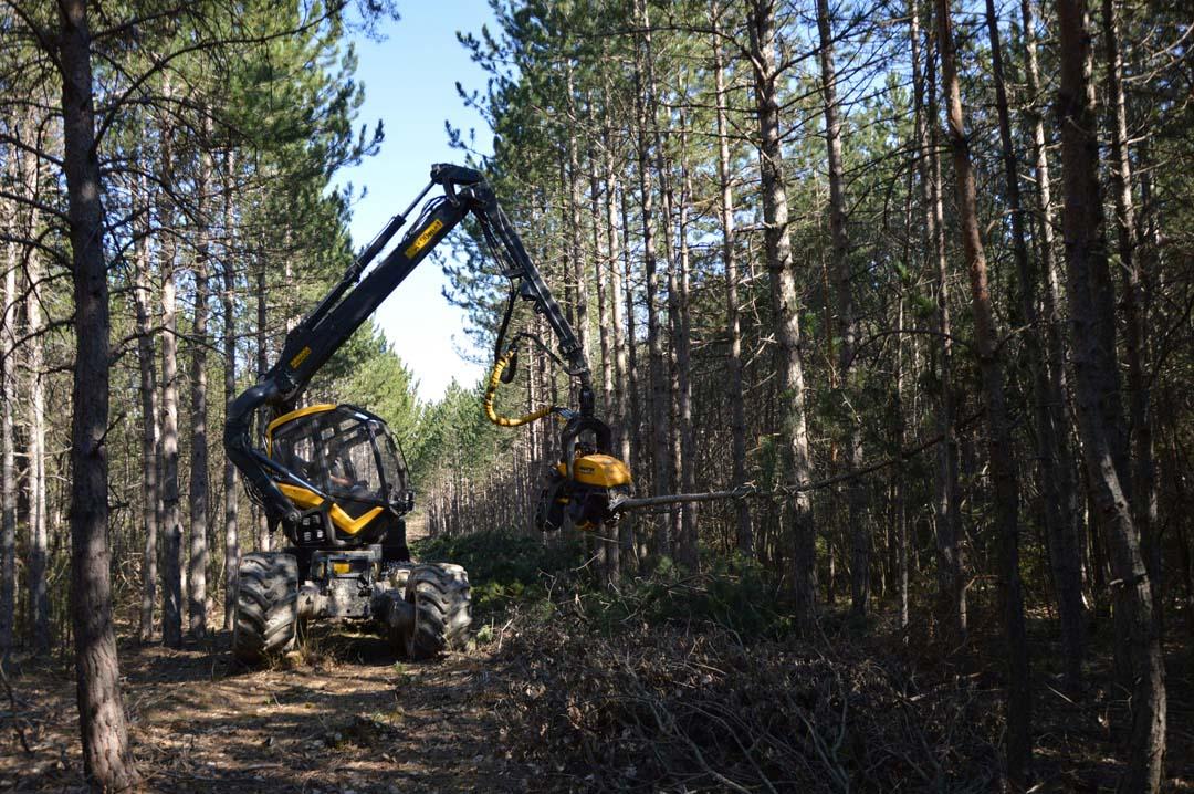 Costs for land clearing and lot clearing vary depending on factors like acreage, density and terrain