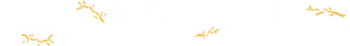 Logo Auberge le temps des saveurs