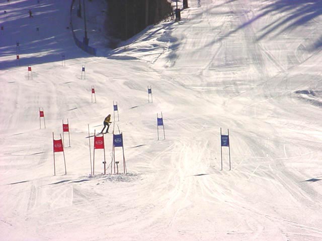 Ski Racing