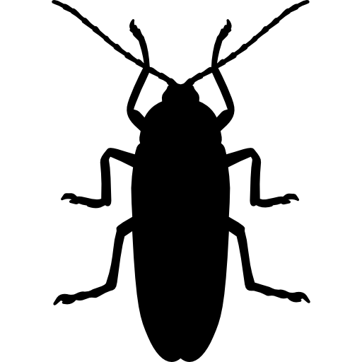 brown spider on green leaf in macro photography