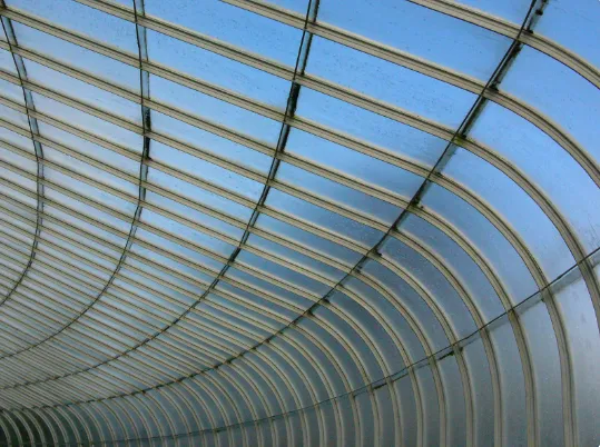 Conservatory Roof