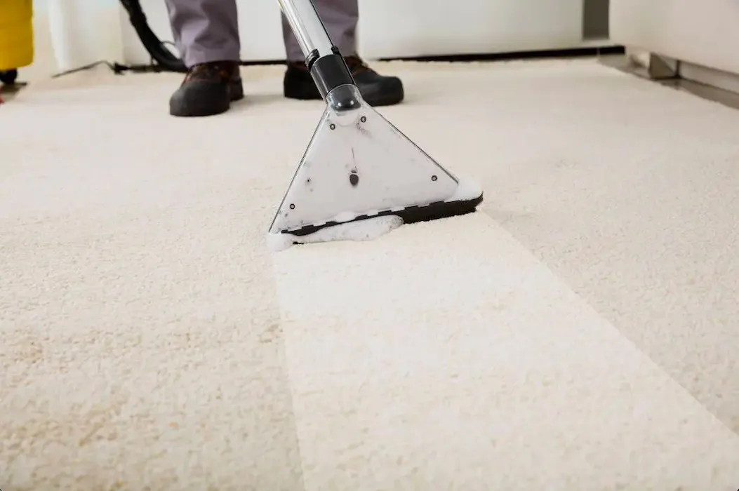 Environmental Friendly Carpet Cleaning