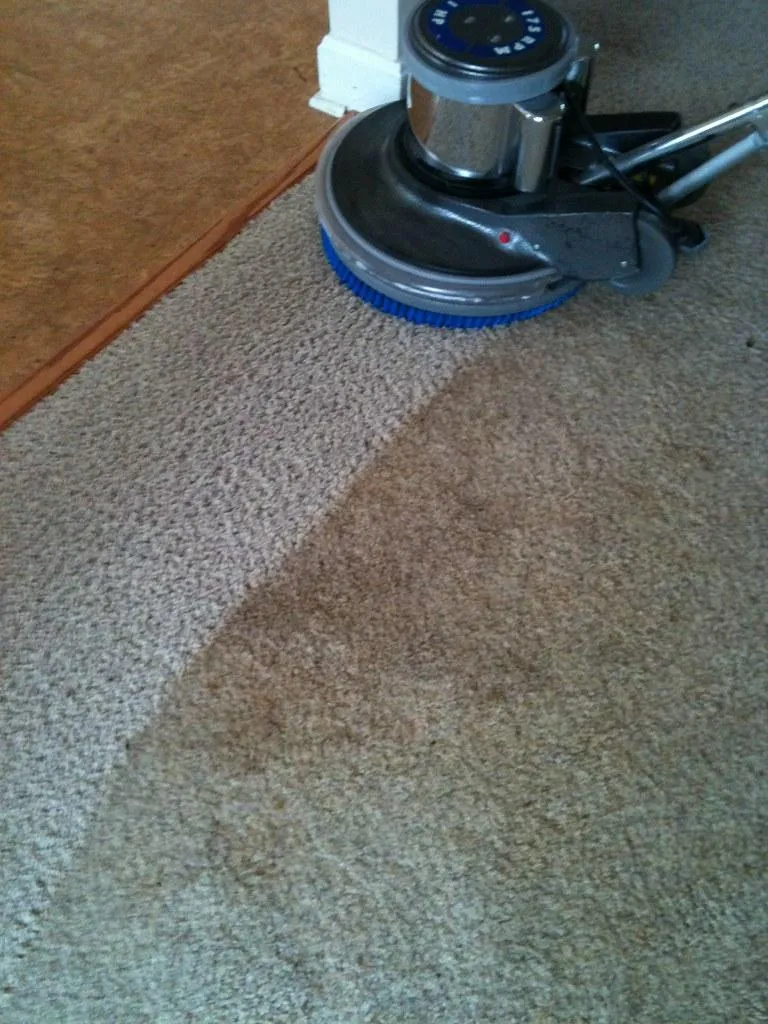 Carpet Cleaning