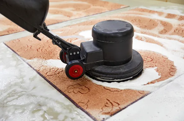 Carpet Cleaning