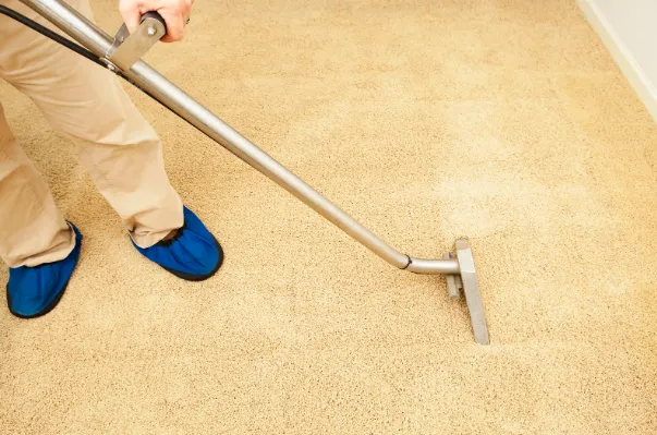 Professional Carpet Cleaning