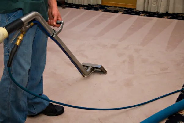 Carpet Cleaning