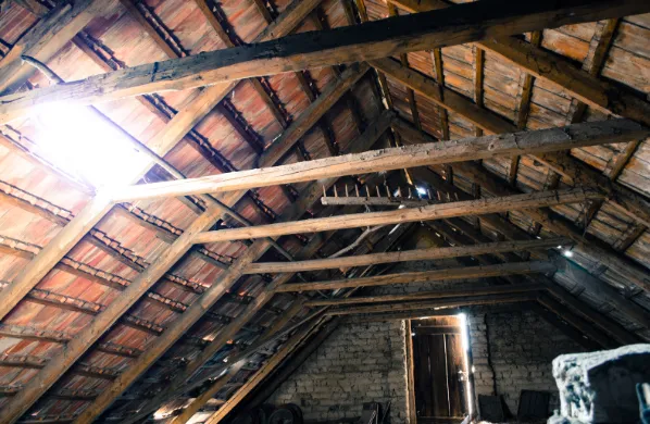 Loft Insulation