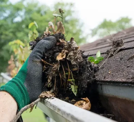 Eavestrough Cleaning