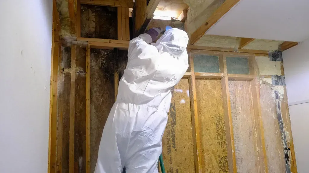 Spray Foam Insulation Removal