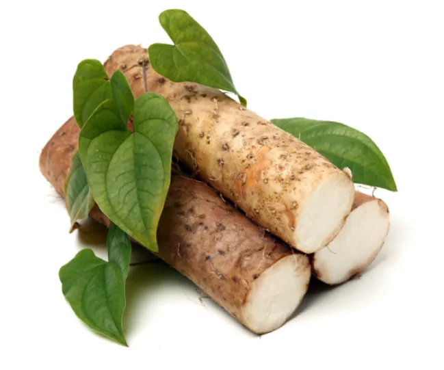 Wild Yam Root with leaves on a white background
