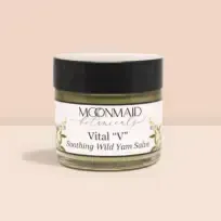 A jar of Vital 'V' Soothing Wild Yam Salve, featuring its label prominently displayed against a simple background.