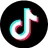 TikTok Icon 