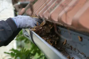 Gutter Cleaning in Lethbridge