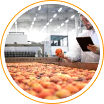 Food Manufacturer