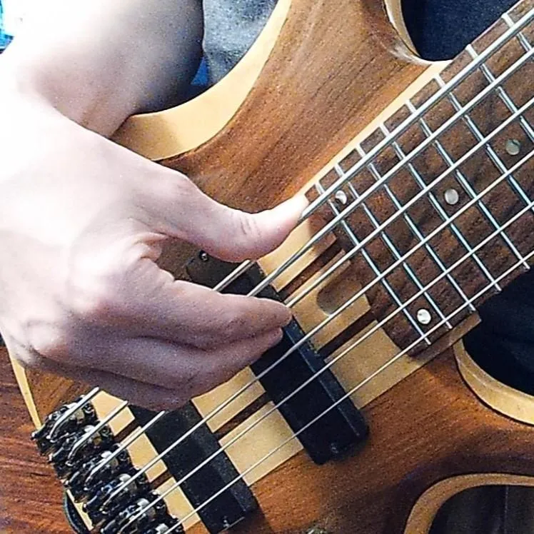 Bass fretboard closeup