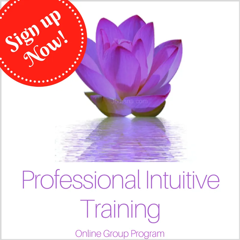 Professional intuitive training