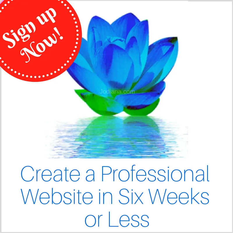 Professional development support