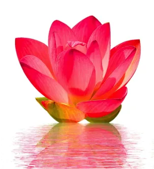 Chakra illustration from the original readings page